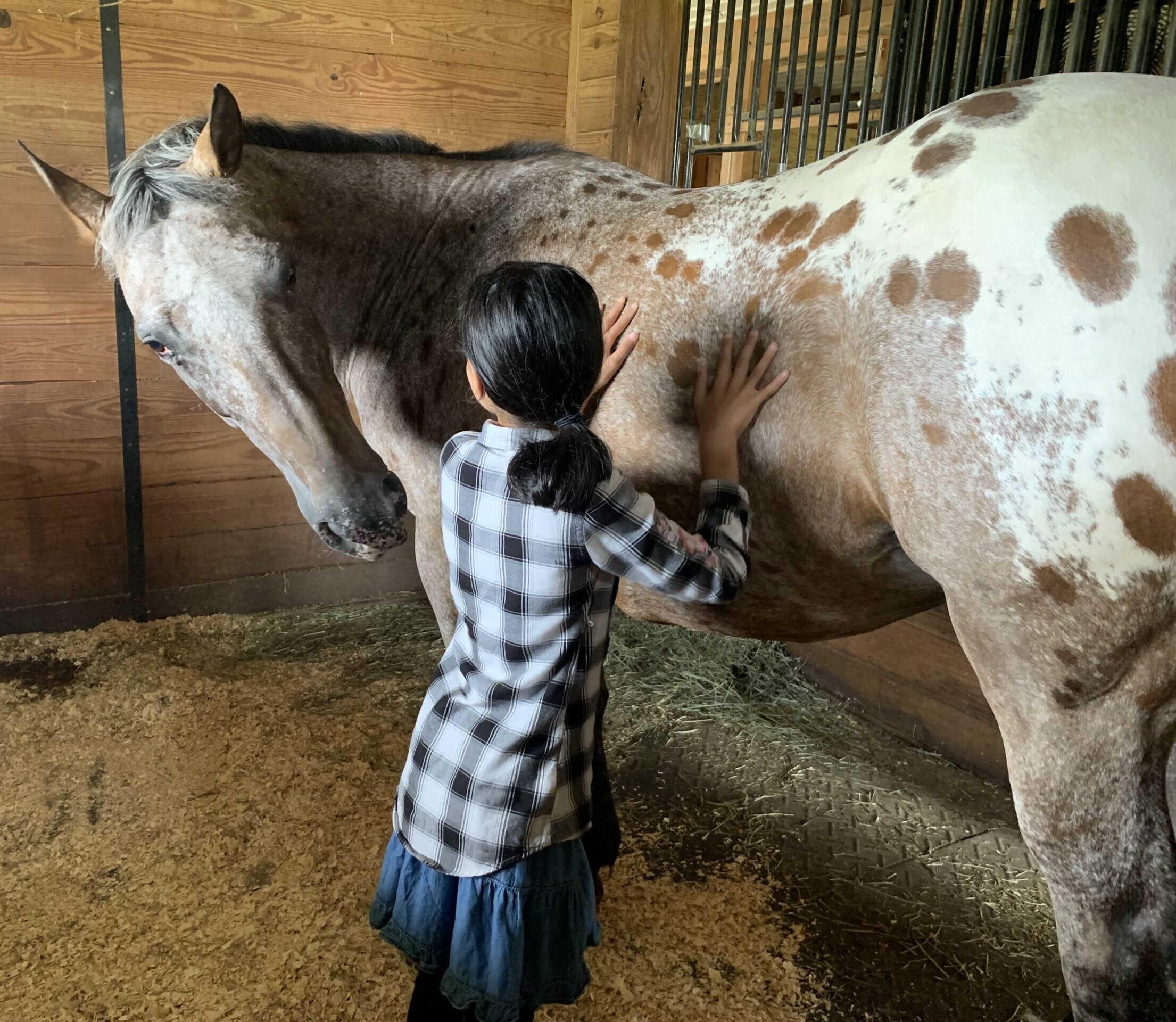 A kid petting a horse